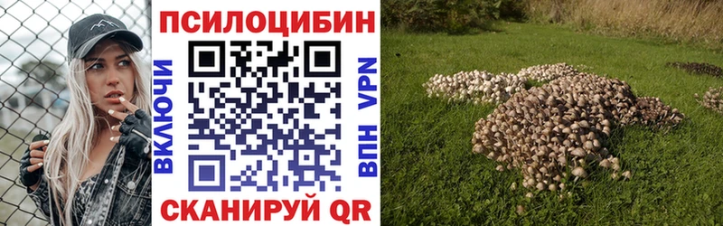 Галлюциногенные грибы MAGIC MUSHROOMS  площадка Telegram  Талдом 