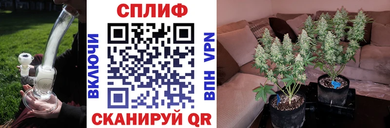 купить наркоту  Талдом  МЕГА зеркало  Каннабис ГИДРОПОН 
